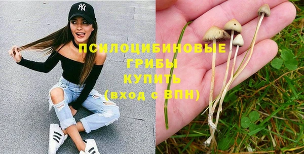 не бодяженный Мегион