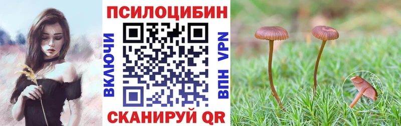 Псилоцибиновые грибы GOLDEN TEACHER  Дудинка 